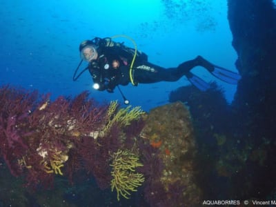 First dive in Port Cros from Bormes les Mimosas