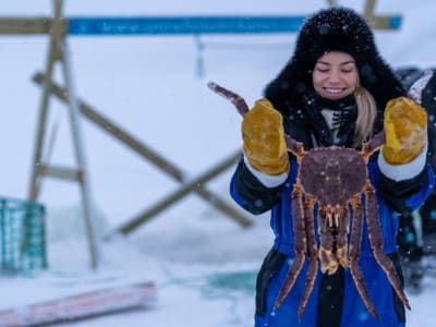 King Crab Safari from Kirkenes