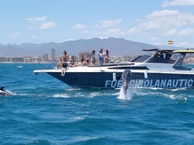 Dolphin watching boat tour in Fuengirola, Málaga