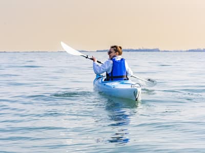 Guided Kayak Tour in the Venetian Lagoon from Venice