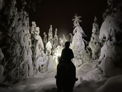 Excursion nocturne à cheval dans le Skammestein près de Jotunheimen