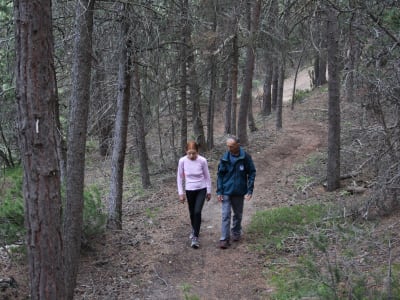 Therapeutic hike at the Lozes archaeological park in Savoie