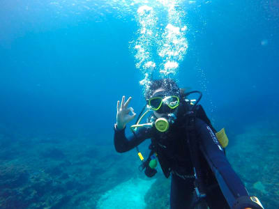 Discover Scuba Diving by boat from Cala en Blanes, Menorca
