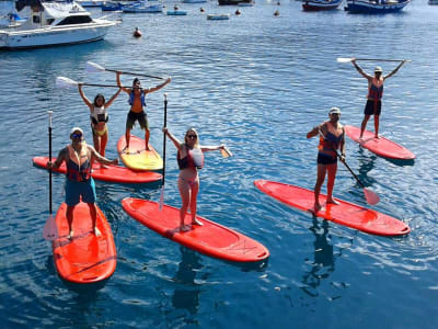 Stand Up Paddle lessons in Playa San Juan, Tenerife