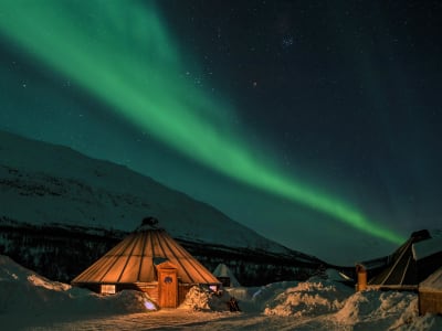 Observation des aurores boréales au Camp Tamok depuis Tromsø