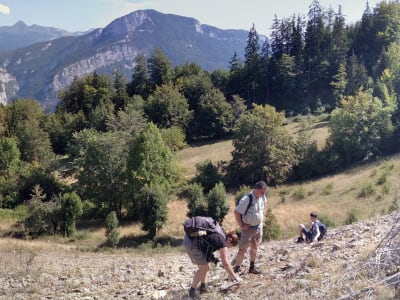 Geführte Wanderung im Tal der Fossilien von Rimets, Regionaler Naturpark Vercors, in der Nähe von Grenoble