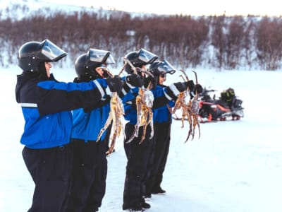 Königskrabben-Safari ab Kirkenes