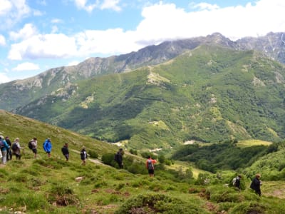 Wandern auf dem Vizzavona-Pass, Zentralkorsika