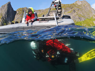 Scuba Diving Refresher Tauchgang von Ballstad, Lofoten Inseln