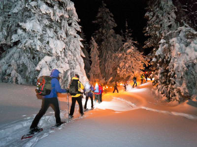 Excursión nocturna con raquetas de nieve en Saint-Lary-Soulan con tartiflette, Pirineos