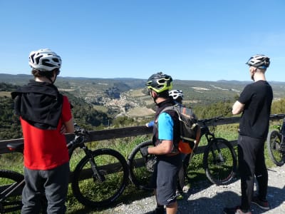 Tour en bicicleta eléctrica de montaña en Minervois, cerca de Narbona