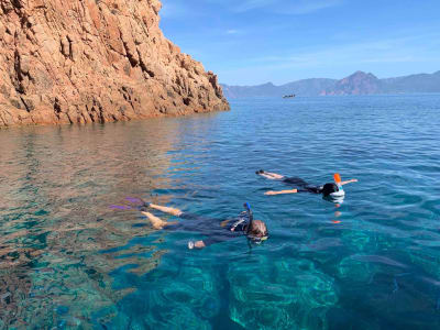 Schnorchelausflug in der Bucht von Cargèse, Korsika