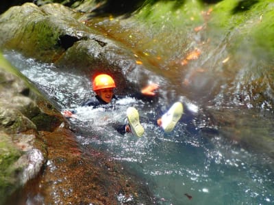 Ti-Schlucht in Basse-Terre, Guadeloupe