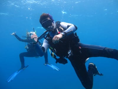Scuba Diving Boat Excursion in Cape Town