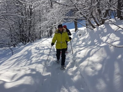 Excursión con raquetas de nieve para descubrir la fauna del Mercantour