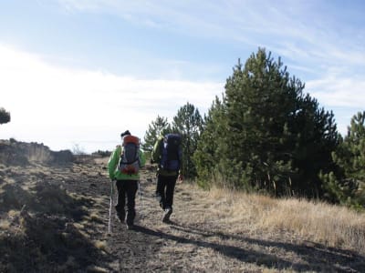 Randonnée guidée dans la vallée du Bove près de l'Etna