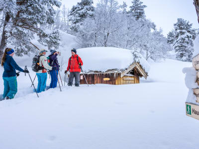 Guided Snowshoeing Excursion from Ålesund