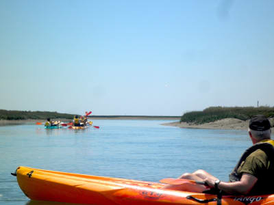 Alquiler de kayak de mar en la Ría Formosa desde Faro, Algarve
