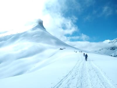 Randonnée raquette à neige dans la vallée de Chamonix