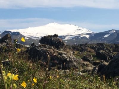 Visite privée de la péninsule de Snæfellsnes et de la grotte de lave de Vatnshellir au départ de Reykjavík