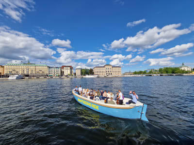 Paseo en barco eléctrico al aire libre por Estocolmo