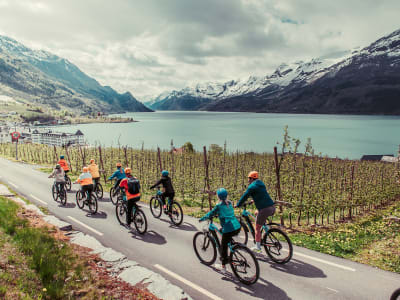 Excursión a pie y en bicicleta eléctrica por el valle de Husedalen desde Lofthus