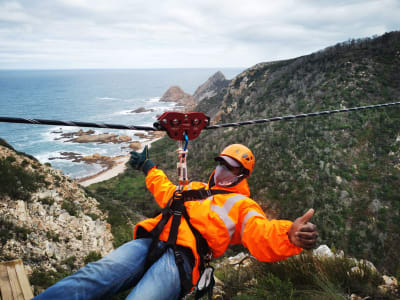 Visite de la canopée et de la tyrolienne à Knysna