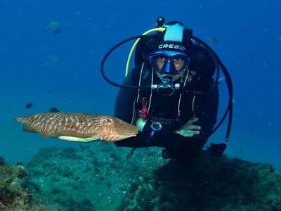 Essayer la plongée sous-marine à Puerto del Carmen, Lanzarote