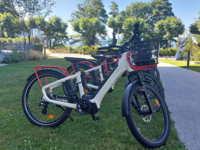 Alquiler de bicicletas eléctricas en Annecy y remo en el lago