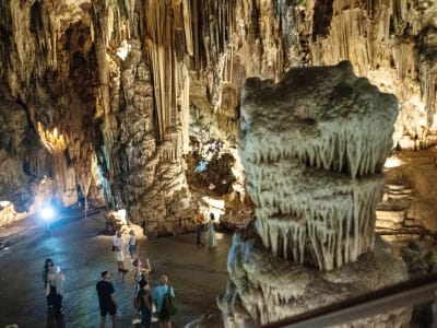 Geführte Tour zu den Höhlen von Nerja und dem Dorf Frigiliana, Malaga