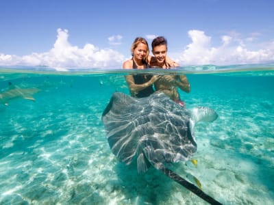 Eco-Safari rayas y tiburones y snorkel en el jardín de coral en Bora Bora