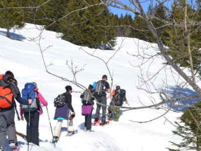 Randonnée en raquettes à neige à La Clusaz