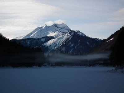 Disabled-friendly hiking trip in Morzine, Portes du Soleil