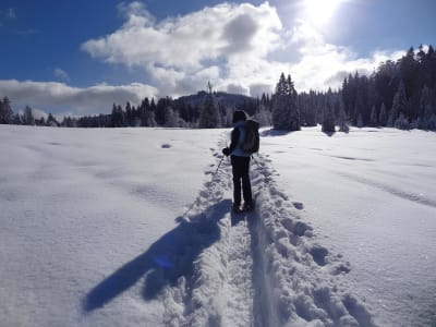 Randonnée en raquettes à Chamonix, près du Mont Blanc