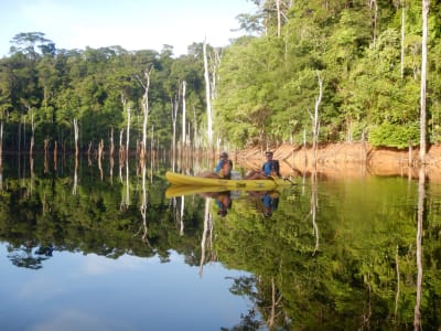 Excursion canoë kayak sur les rivières de Guyane