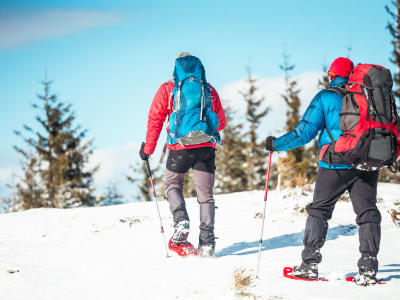 Snowshoeing Excursion in Lofoten from Svolvær