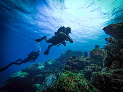 Discover scuba diving in Tamarin Bay in Mauritius