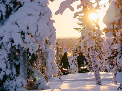 Excursión de medio día en moto de nieve por los bosques lapones desde Levi