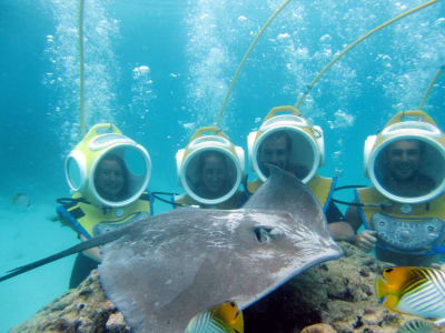 Scuba diving with a helmet in the lagoon of Moorea