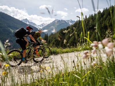 Excursión en bicicleta eléctrica y senderismo en el Grossglockner, cerca de Lienz