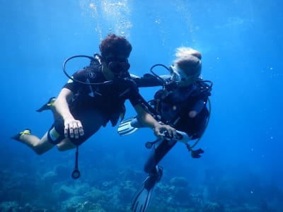 Baptême de plongée dans la Réserve Cousteau, Guadeloupe