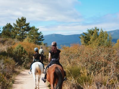 Randonnée à cheval dans le parc national de Guadarrama à Madrid