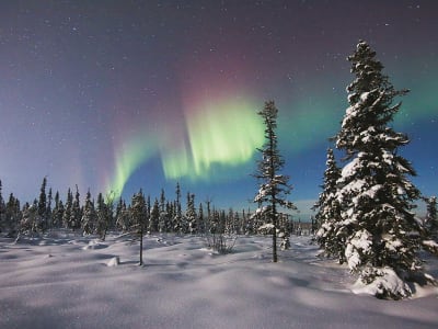 Excursion nocturne en raquettes à Kiruna