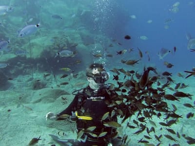 Discover Scuba Diving in Akrotiri, Santorini