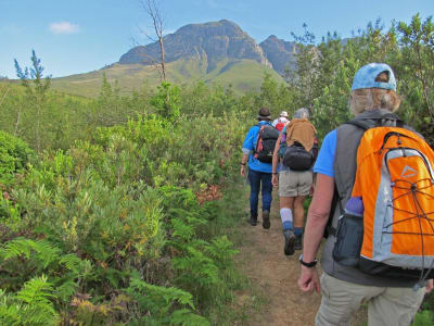 Hiking excursion up Skeleton Gorge in Cape Town