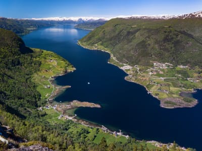 Crucero en barco por los fiordos de Sogndal a Fimreite y Haug Gard con degustación de sidra