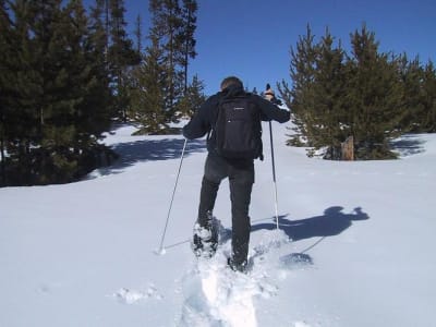 Randonnée en raquettes à Annecy