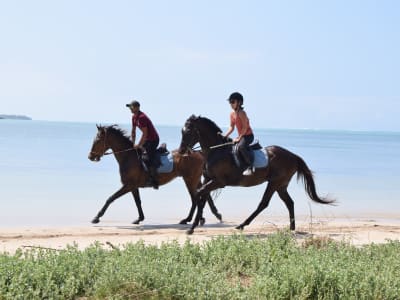 Balade à cheval au Morne, Île Maurice