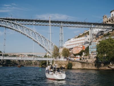 Private boat tour from the Marina do Douro to Foz do Douro, Porto