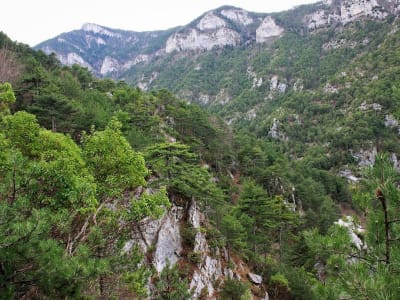 Excursión de senderismo en el Monte Olimpo - Arroyo Papa